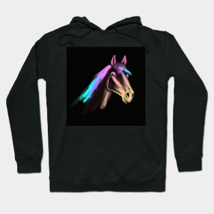 Horse head beautiful, colorful and vibrant Hoodie